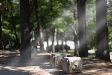 Stone Park Bench under the tree in the Morning Light