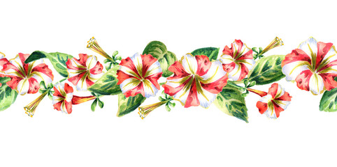Red and white flowers seamless border. Watercolor