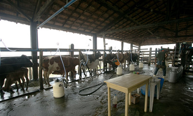 Fazenda de leiteiro