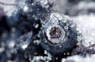 Blueberries with sugar