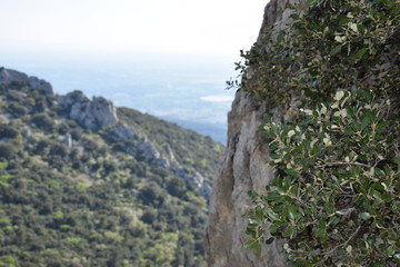 vaucluse dentelles de montmirail