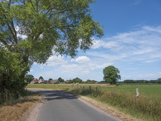 country road and cornfield north of antwerp in belgium