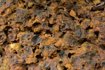 Rough rock close-up