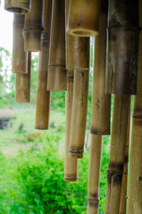 bamboo fence background