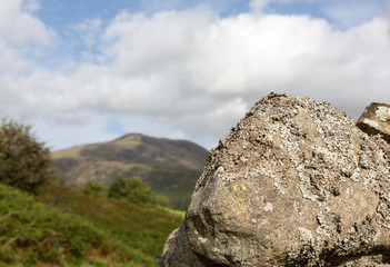 Lichen covered rock in Lake District