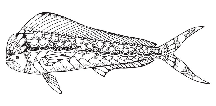 Dorado mahi mahi fish zentangle and stippled stylized vector illustration. Pattern. Zen art. Black and white illustration on white background. Adult anti-stress coloring book.