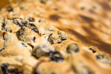 sponge cake with black currants