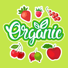 Organic Eco Food Stickers Healthy Lifestyle Vector Illustration