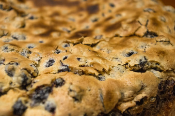 sponge cake with black currants