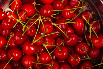 large ripe red cherries