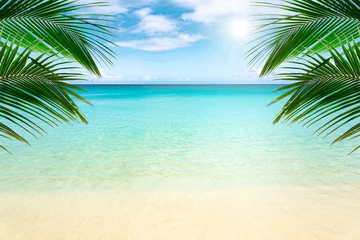 Deurstickers Tropisch strand Zonnig tropisch strand met palmbomen