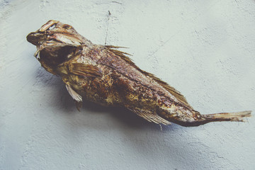 Dryed fish over white wall use for decoration