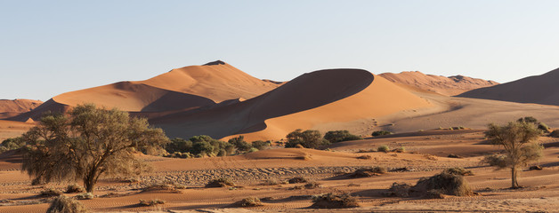Fototapeta na wymiar Dunes in the Namib Desert
