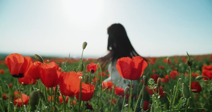 ittle Asian girl in white dress having fun in a field of red poppies in Sunny day, slow motion