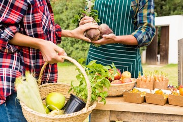 Midsection of woman buying beetroot from man