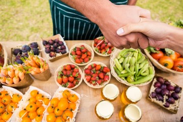 Cropped image of woman shaking hand with man selling fruits
