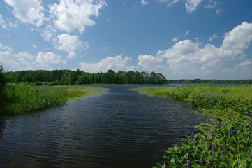 Foto op Plexiglas Boat Channel: A waterway for small boats leads into the Chippewa Flowage lake region of northern Wisconsin. © wakr10