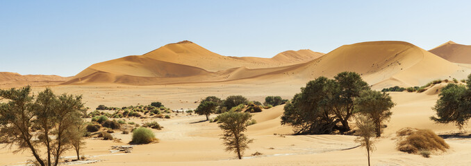 Obraz na płótnie Canvas Dunes in the Namib Desert
