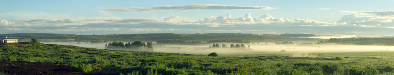 Summer rural landscape with a dawn and a fog