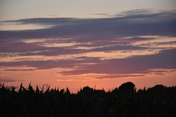 Obraz premium Pink and Purple Sunset