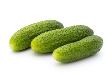 The first spring ecologically cucumbers.
