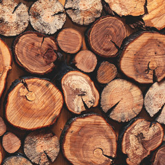 Closeup detail of a pile of natural wooden logs background, top view, abstract photo