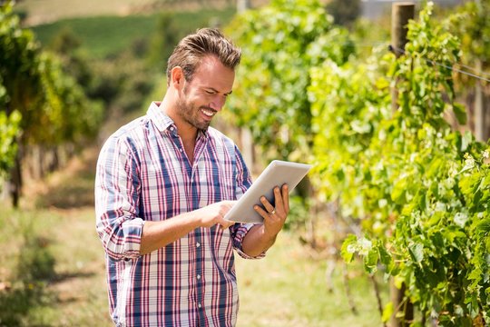 Man using digital tablet at vineyard