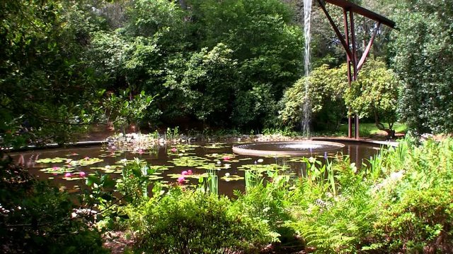 Flume fountain waterfall lands in oval pool of lotus flowers at Heritage Museums and gardens on Cape Cod