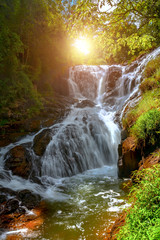 falls and green jungle, sun