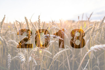 Fototapeta premium Jahreswechsel 2018