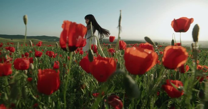 ittle Asian girl in white dress having fun in a field of red poppies in Sunny day, slow motion