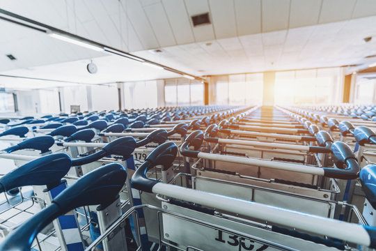 Multiple numbered luggage carts with blue handles standing in several rows in hall of contemporary airport with window and sun flare in defocused background