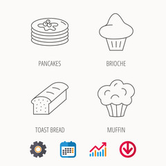 Pancakes, brioche muffin and toast bread icons. Cupcake linear sign. Calendar, Graph chart and Cogwheel signs. Download colored web icon. Vector