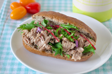 Healthy tuna sandwich with fresh vegetables