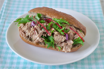 Healthy tuna sandwich with fresh vegetables