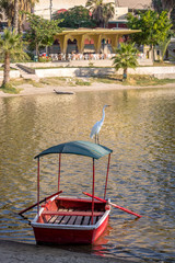 Great White Egret and small boat at Huacachina Oasis - Ica, Peru