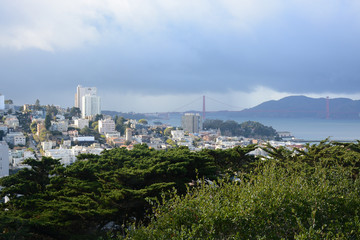 View from Pioneer Park in San Francisco, California, U.S.A