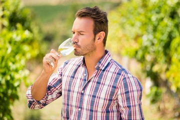 Fototapeta premium Man drinking wine