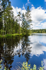 Fototapeta na wymiar blue lake with reflective surface surrounded by trees