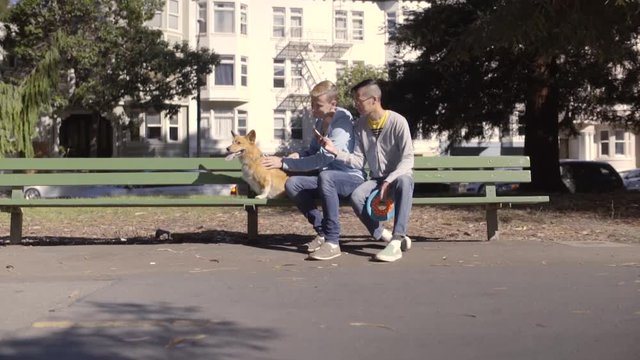 Happy Gay Couple Sit On A Park Bench, Take Photos Of Their Corgi Dog