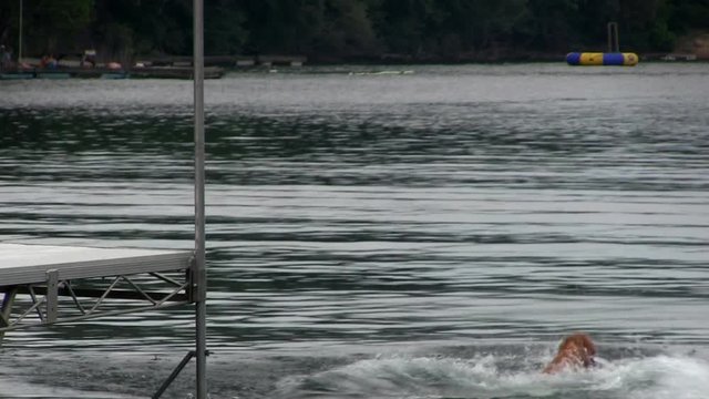 A golden retriever runs along dock and dives into freshwater pond to retrieve masters tennis ball