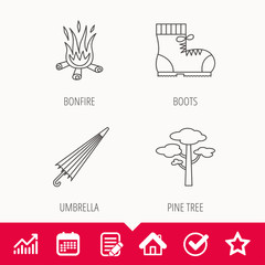 Pine tree, bonfire and hiking boots icons. Umbrella linear sign. Edit document, Calendar and Graph chart signs. Star, Check and House web icons. Vector