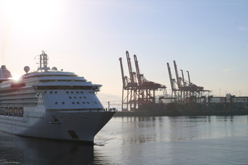 Fototapeta na wymiar Cruise Ship in the Harbour