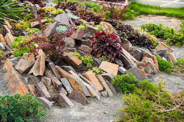 Flower bed in landscape design