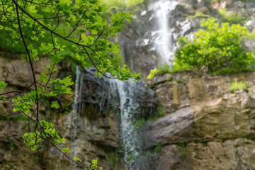 Branch on the background of a waterfall on a sunny day
