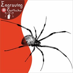 spider engraving, engraved, silkscreen