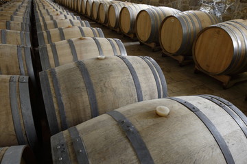 cantina con botti