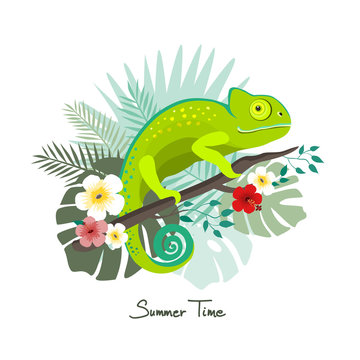 Green chameleon with a  trendy tropical jungle design with flower, palm and monstera leaf, summer time, vector illustration.