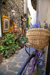 Fototapeta na wymiar flowers, tuscany, italy, cortona, lavanda, 
