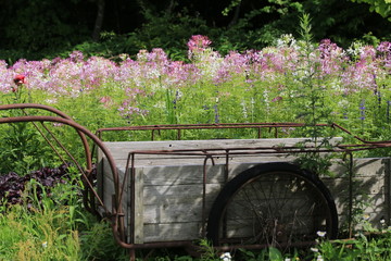 青山高原ハーブガーデンの農機具